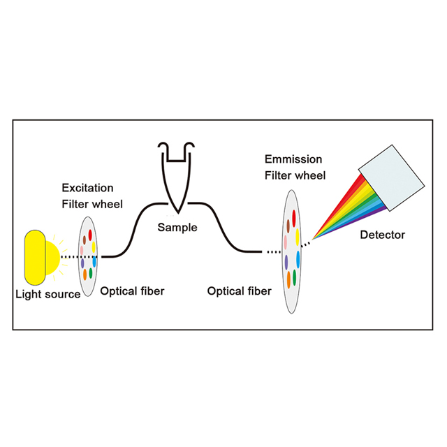 Sistema de detección de PCR cuantitativa fluorescente