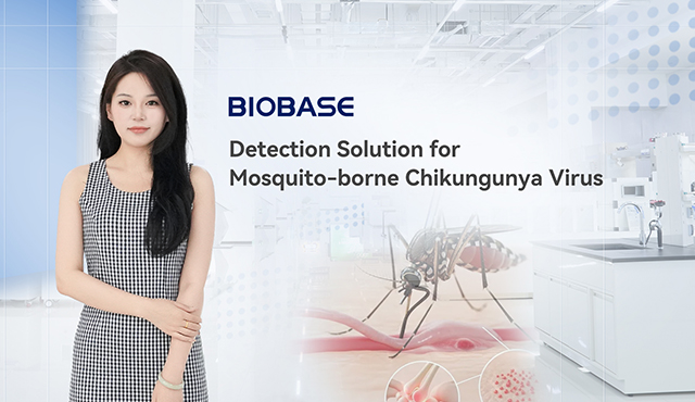 Biobase lanza una solución de detección para el virus Chikungunya transmitido por mosquitos
