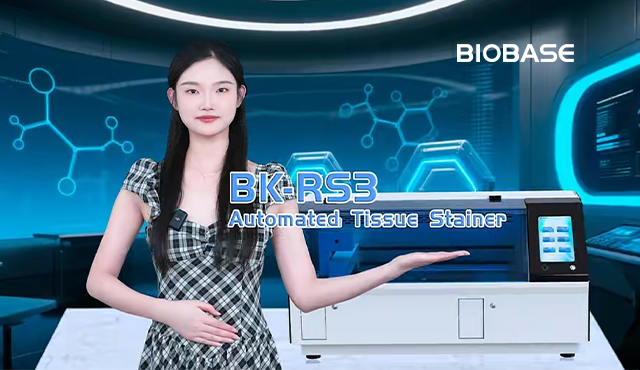 Biobase Hotplate Magnetic Stirrer BK-MS400