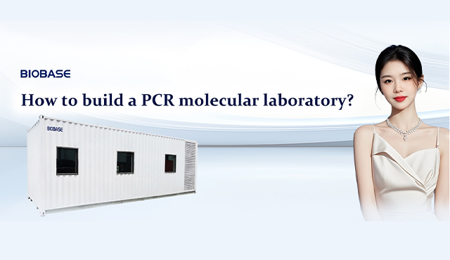 De la muestra hasta el resultado: soluciones completas de equipos de laboratorio de PCR