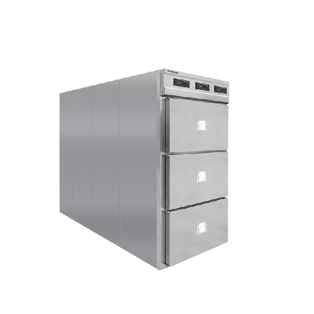 Congelador de morgue 