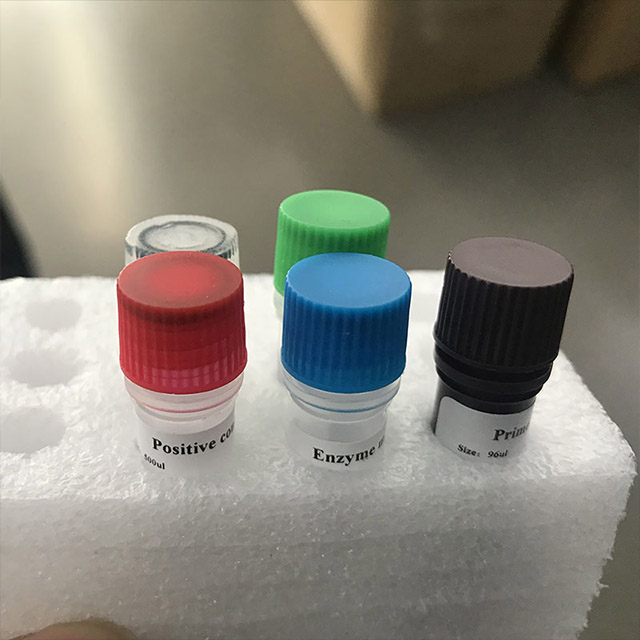 Kit de detección de ácido nucleico del nuevo coronavirus (2019-nCoV) (PCR de fluorescencia)