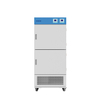 Incubadora de temperatura constante multicámara BJPX-H150-2C BJPX-H100-4C