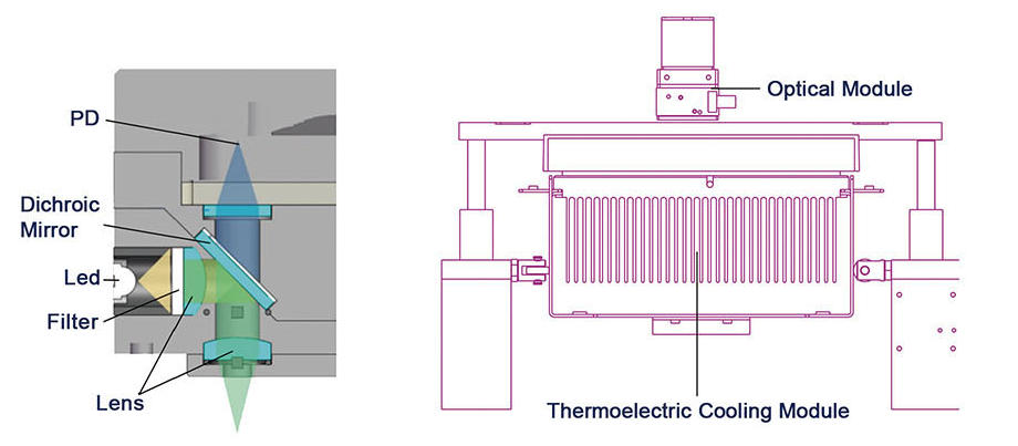 Sistema de detecci&oacute;n cuantitativa fluorescente01 